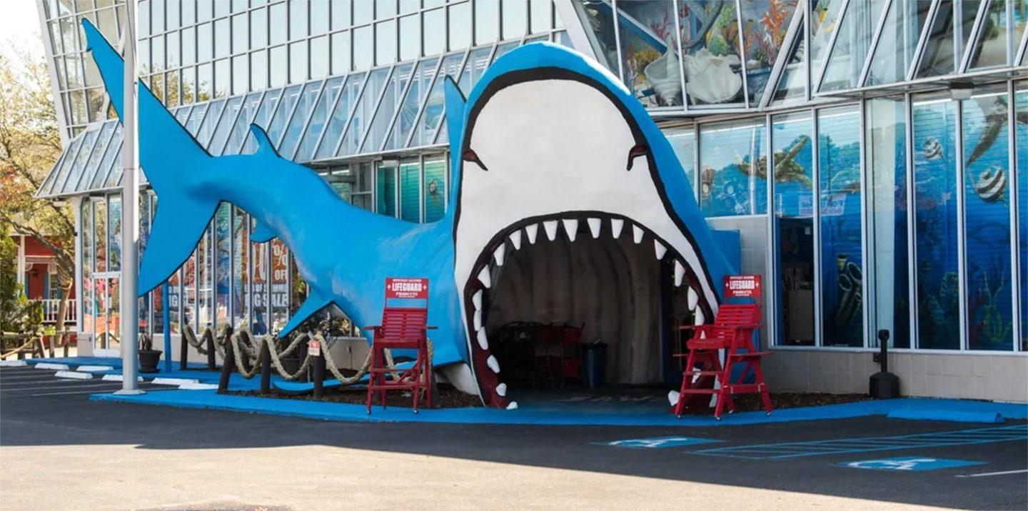 Swim Zip  Shark Tank Shopper